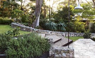 A texturally layered coastal garden filled with native plants