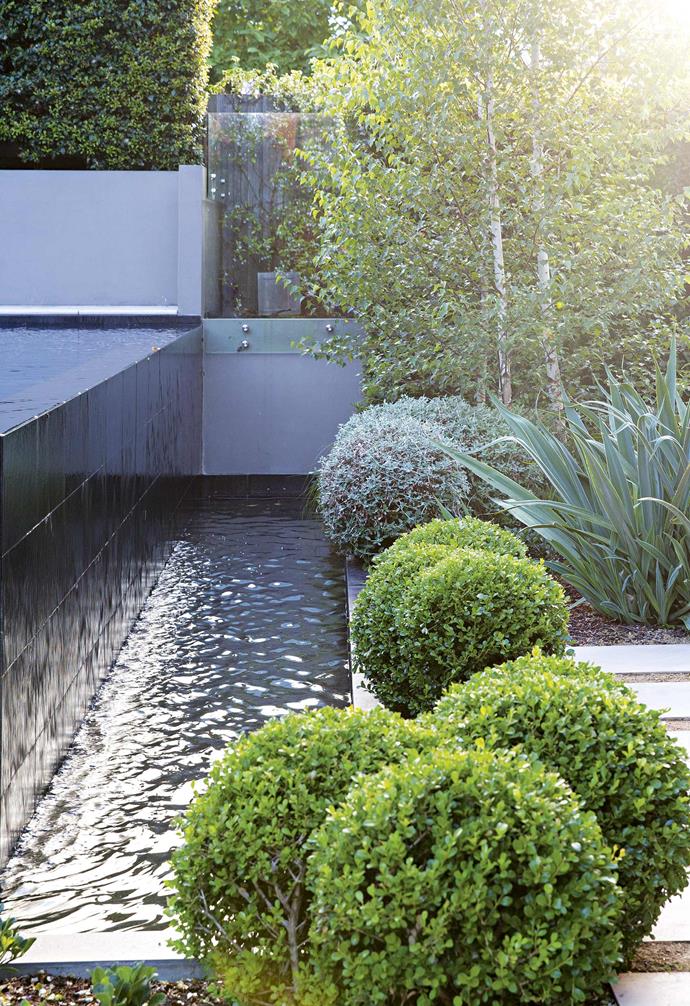 They turned to landscape designer [Peter Fudge](https://www.peterfudgegardens.com.au/|target="_blank"), who devised a plan to replace the dominating raised [swimming pool](https://www.homestolove.com.au/what-to-know-before-installing-a-swimming-pool-6166|target="_blank") by excavating the yard to the level of the house. This meant Peter could develop more useable garden areas in the design and relocate the pool to a far less intrusive spot.