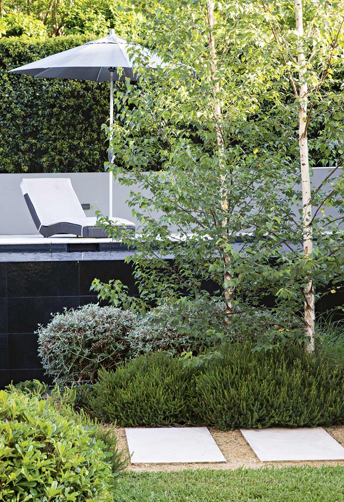 The result is a fine balance between the proportions of the pool, lawn, deck and [garden beds](https://www.homestolove.com.au/raised-garden-beds-9873|target="_blank") that feels unified without any overpowering elements. Creating separate but linked outdoor areas also give the yard a sense of space. Visible through double doors from the lounge room, the pool resembles a water feature with no apparent pool fence visible.