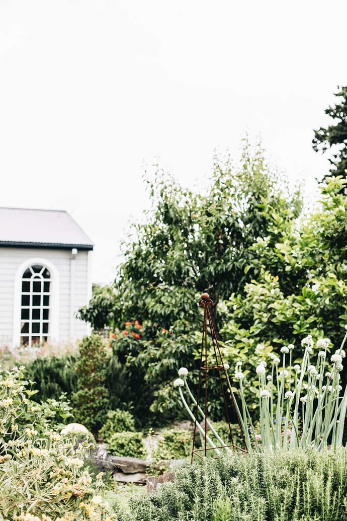 The [Bowral home of antiques dealer Jane Crowley](https://www.homestolove.com.au/dirty-janes-bowral-founder-home-22323|target="_blank") is, as you would expect, filled with found treasures and precious objects. It's a style that spills out into the garden, which features fences made from old palings and posts bought from farm sales. "I just put in things I love," says Jane of her ad hoc gardening style. Here, rosemary and garlic grow in abundance.