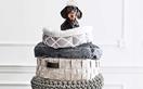 12 most stylish dog beds for all breeds