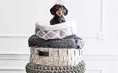 12 most stylish dog beds for all breeds