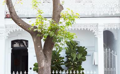 A white heritage terrace with a colourful interior