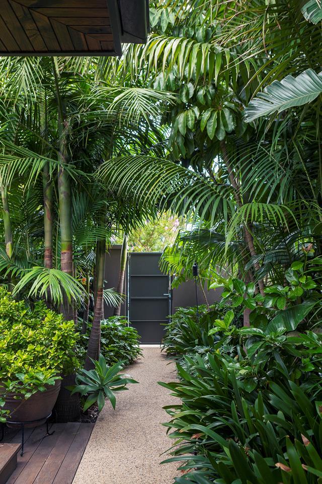 [This tropical garden](https://www.homestolove.com.au/tropical-garden-melbourne-7183|target="_blank") designed by landscaper John Couch is full of lush, emerald foliage that transports you to North Queensland or Bali.