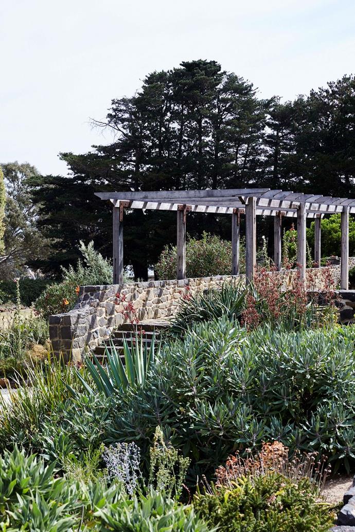 A restored Walling pergola leads from the terrace down to the lower garden in this [garden in Victoria's north-west](https://www.homestolove.com.au/edna-walling-cottage-garden-20180|target="_blank"), which was lovingly restored to its former glory to honour landscape designer Edna Walling.