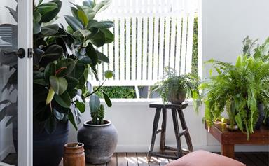 12 perfect pots for your indoor plants