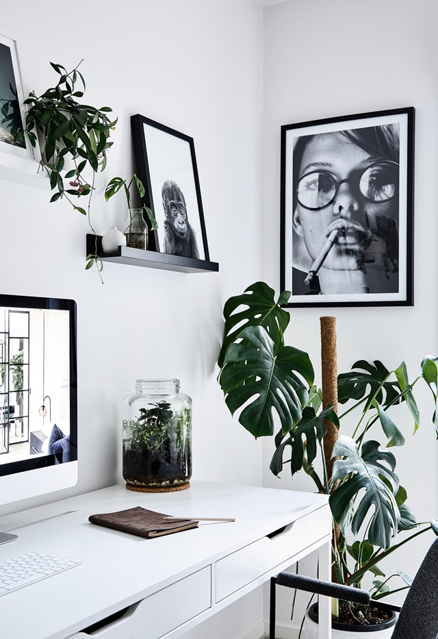 While [this workspace](https://www.homestolove.com.au/scandi-new-build-melbourne-22846|target="_blank") celebrates the Scandi hallmarks of simplicity and functionality, it's the abundance of plants that bring it to life. Who wouldn't want to share an office with this monstera?