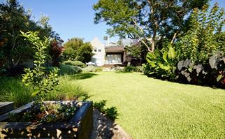 Backyard with a healthy green lawn