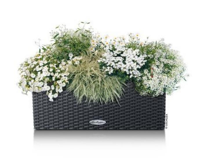 **Lechuza Balconera Cottage planter, $79, [Plantercraft](https://plantercraft.com.au/planters/balconera-cottage-50|target="_blank"|rel="nofollow")**

Made in Germany with a removable liner for easy planting, this classically styled wall planter has a subtle basket weave finish and can also be hung from balcony brackets (not included). With an intelligent watering system to take the guesswork out of [when to water your plants](https://www.homestolove.com.au/top-tips-for-watering-your-garden-10447|target="_blank") and measuring W50cm x D19cm x H19cm, it makes for simple, functional gardening at its best, where your choice of plants will be the hero.