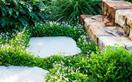 7 hardy groundcovers for Australian gardens