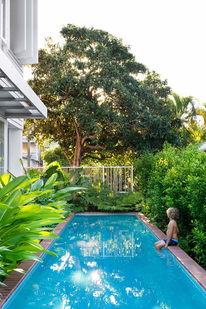 This pool's proximity to the garden edge makes for a real tropical vibe in this renovated [WWII Queenslander home](https://www.homestolove.com.au/queenslander-double-height-renovation-22963|target="_blank"). The long, slim, brick-lined pool is surrounded by plenty of warm weather plants and foliage.
