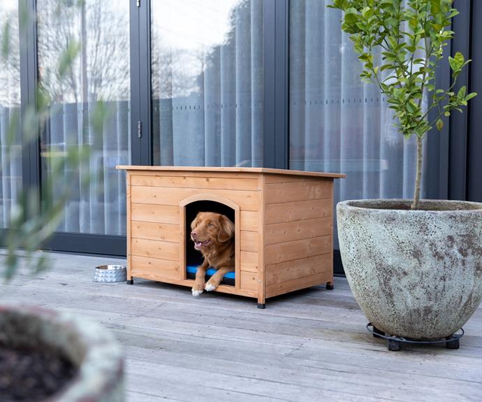 **[Lexi & Me wooden dog kennel, $184.99 (Medium), PetStock](https://www.petstock.com.au/product/dog/lexi-me-wooden-dog-kennel/78492|target="_blank"|rel="nofollow")**
<br>
In a small yard, an unsightly dog kennel will stick out like a sore thumb, so invest in something stylish and functional like the wooden dog kennel from Lexi & Me. The elevated design keeps out cold and damp and the clever hinged lid makes for easy cleaning and maintenance. Also available in small and large. **[SHOP NOW](https://www.petstock.com.au/product/dog/lexi-me-wooden-dog-kennel/78492|target="_blank"|rel="nofollow")**.
