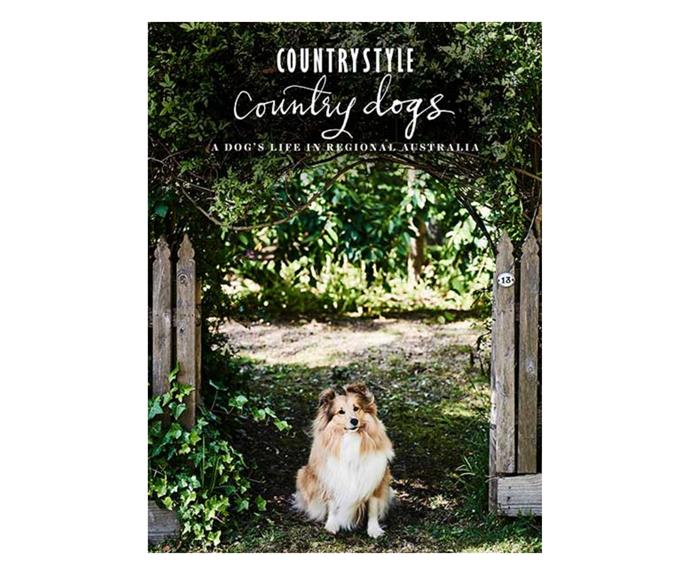 Travel regional Australia by diving into the pages of **[Country Style's Country Dogs book, $34.99, from Magshop](https://www.magshop.com.au/Products/66674/country-dogs?gclid=Cj0KCQjwqp-LBhDQARIsAO0a6aJko3rflubJFylU2gqwlRPL11LeKPxt8YImiq7p5ivYJQZ2bj-5L-0aAlwFEALw_wcB|target="_blank"|rel="nofollow")** where you'll meet some of the most adorable canine companions.