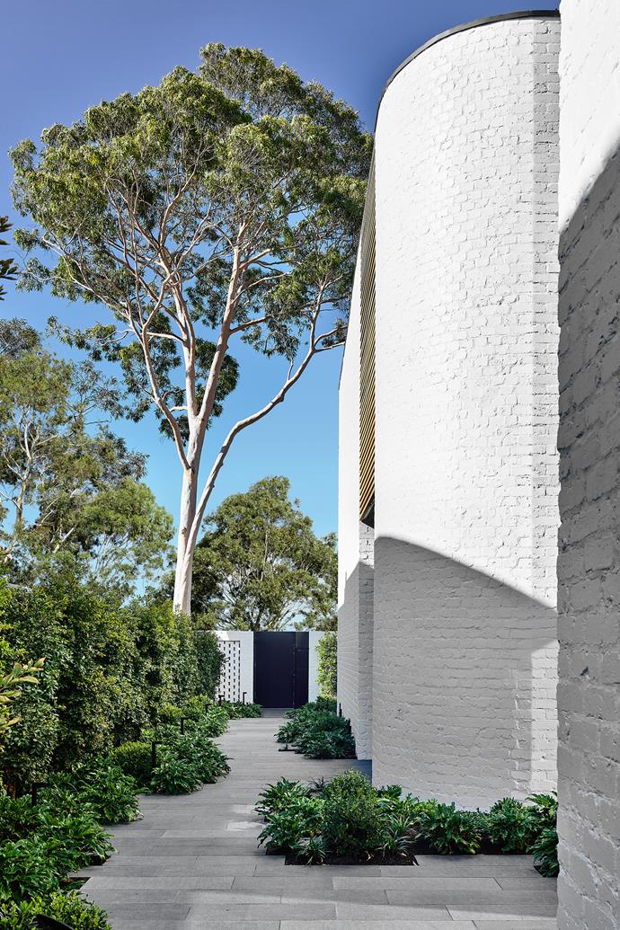 A [stone-paved path](https://www.homestolove.com.au/paving-design-ideas-21829|target="_blank") from the home's front gate to the entrance is softened with plantings of lilly pilly, bamboo, ivy, magnolia and crepe myrtle.