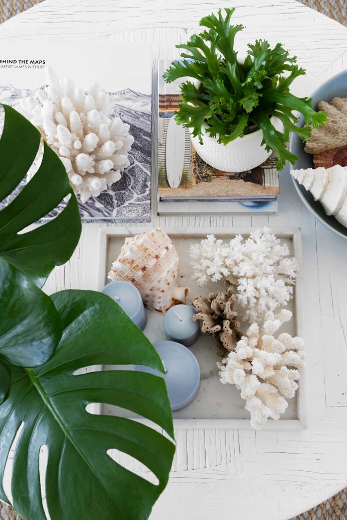 Candles from [Provincial Home Living](https://www.provincialhomeliving.com.au/|target="_blank"|rel="nofollow"), coral from travels and greenery tell a story on the living room coffee table.