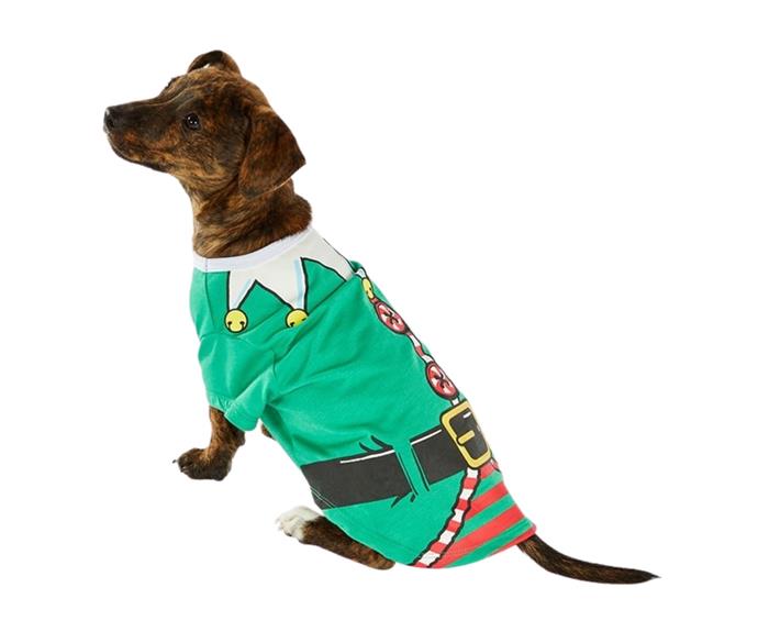 **[Holiday Tails Eli The Elf Pet Tshirt Green, $16.99, Petbarn](https://www.petbarn.com.au/holiday-tails-eli-the-elf-pet-tshirt-green|target="_blank"|rel="nofollow")** 

It's never too early to get your pup (or kitten) into the Christmas spirit and this adorable elf t-shirt is sure to do just the trick. **[SHOP NOW.](https://www.petbarn.com.au/holiday-tails-eli-the-elf-pet-tshirt-green|target="_blank"|rel="nofollow")** 