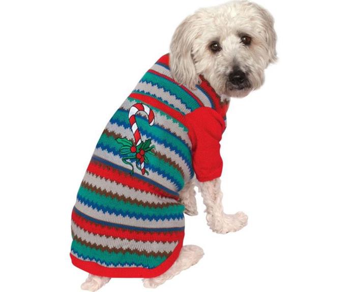 **[Candy Cane Ugly Christmas Sweater Pet Costume, $28.99, CostumeBox](https://www.costumebox.com.au/products/candy-cane-ugly-christmas-sweater-pet-costume?variant=32125759619127&affid=6040&clickid=&utm_source=CommissionFactory&utm_medium=Text+Link&utm_content=&utm_campaign=CostumeBox.com.au&cfclick=87835c172567487089e72f072737110f|target="_blank"|rel="nofollow")**

Nothing signals the start of the festive season quite like an ugly Christmas sweater. You won't be able to resist posing for those awkward family photos with your furry friend. Say cheese! **[SHOP NOW.](https://www.costumebox.com.au/products/candy-cane-ugly-christmas-sweater-pet-costume|target="_blank"|rel="nofollow")** 