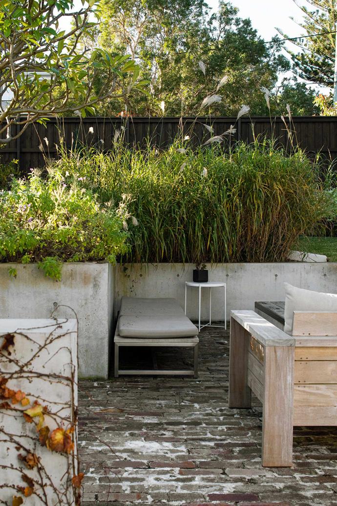 Simple materials and thoughtful plant choices create a relaxed beauty that runs right through this [beachside garden](https://www.homestolove.com.au/relaxed-native-garden-sydney-21902|target="_blank") in Sydney. Plants include Parthenocissus tricuspidata, Heliotropium arborescens, Miscanthus sinensis 'Zebrinus' and Helichrysum petiolare 'Limelight'.