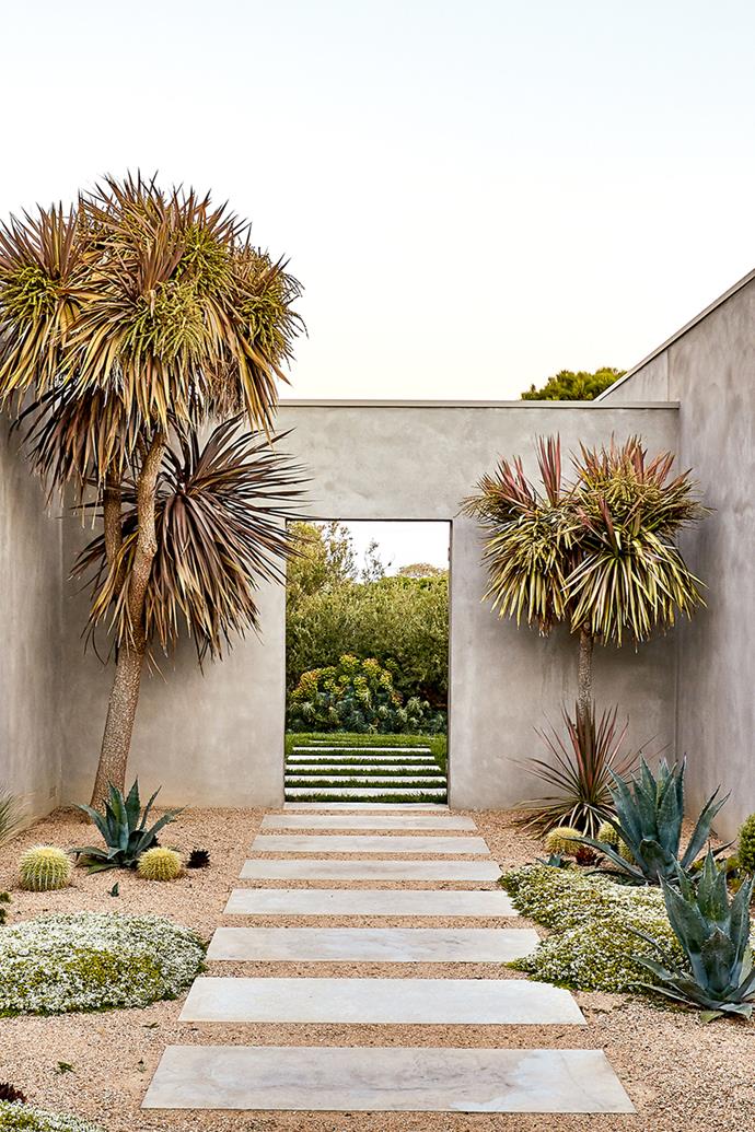 At the southern tip of Victoria's Mornington Peninsula, where the land rises and falls in gentle waves and wind-battered Moonah trees dot the landscape, sits a wondrous, [contemporary garden](https://www.homestolove.com.au/contemporary-coastal-garden-exotic-and-native-plants-20471|target="_blank"). Mixing hardy Australian natives with South American, South African and Mediterranean species, it's a wonderful, vibrant botanical fusion that is made for our dry-climate times.