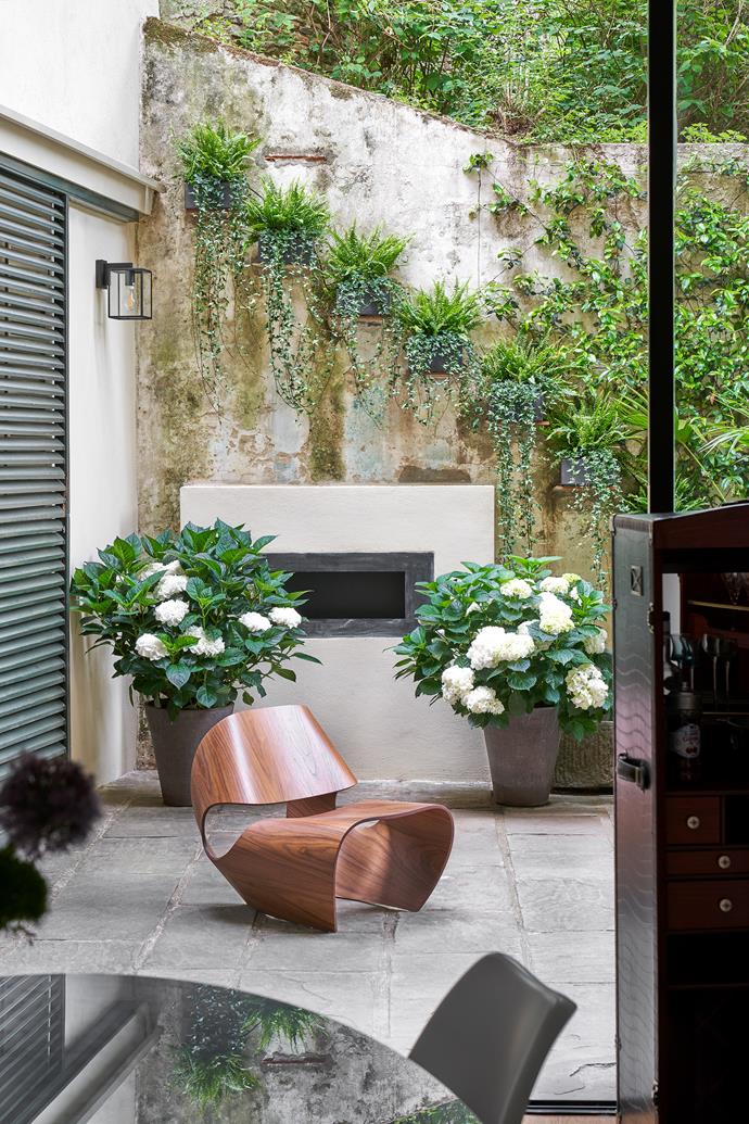 Brought to life with palms, banana trees, hydrangeas and potted plants, the new outdoor area is a hidden gem in the heart of an historic city. The sculptural Cowrie chair is designed by Brodie Neill. The garden design is by Fiorile, a florist in Florence.