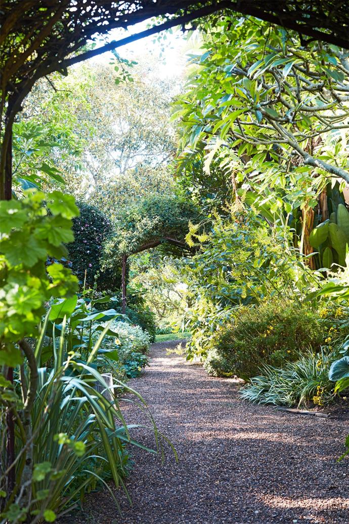 The [19th Century garden at Bronte House](https://www.homestolove.com.au/19th-century-garden-at-bronte-house-5996|target="_blank") was restored by custodian Anna van der Gardner, pictured strolling along one of the historic pathways under arches laden with roses and other sweet-smelling climbers.