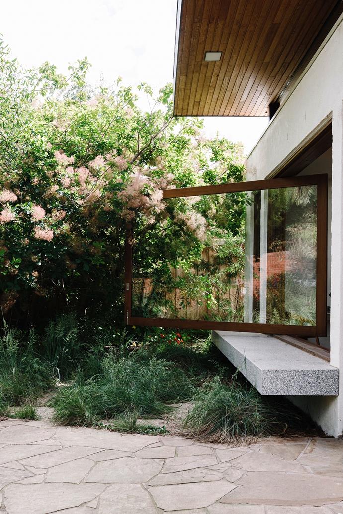 The request was for a naturalistic garden, and so garden designer Sam Cox created [a slice of inner-city bushland](https://www.homestolove.com.au/inner-city-native-garden-22428|target="_blank") that thrums with life. 