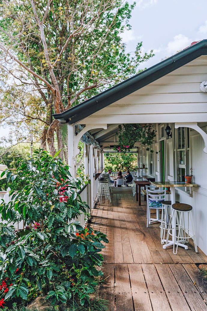 The Coffee Plantation's verandah.