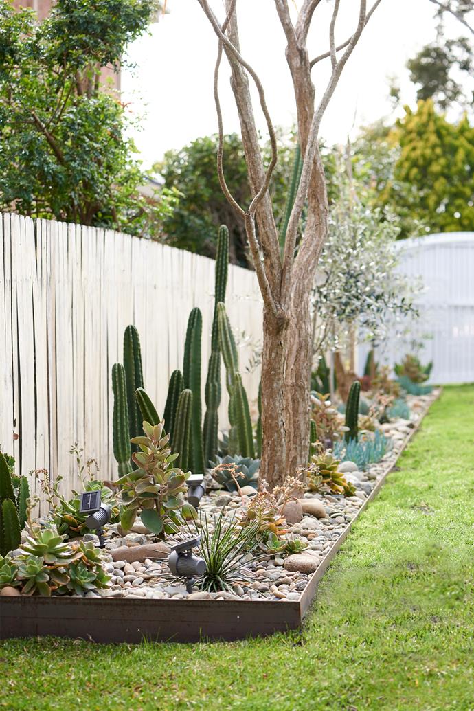 While neighbouring properties were [overflowing with natives](https://www.homestolove.com.au/australian-native-gardens-19911|target="_blank"), the couple decided on a [garden filled with cactus and succulents](https://www.homestolove.com.au/cactus-country-the-largest-cactus-garden-in-australia-5045|target="_blank") to suit the home's new aesthetic and reduce the maintenance required.  