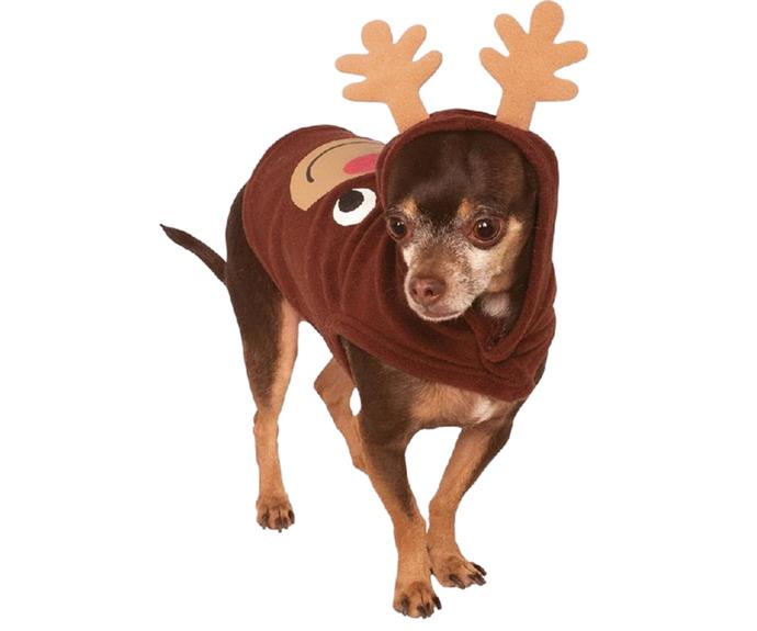 **[Reindeer Hoodie Pet Costume, $17.99, Unique Party Shop](https://www.uniquepartyshop.com.au/reindeer-hoodie-pet-costume|target="_blank"|rel="nofollow")**

Your pooch will feel like one of Santa's little reindeers with this festive costume. Available in extra small to large sizing, it'll make the perfect Christmas morning snap. **[SHOP NOW.](https://www.uniquepartyshop.com.au/reindeer-hoodie-pet-costume|target="_blank"|rel="nofollow")**