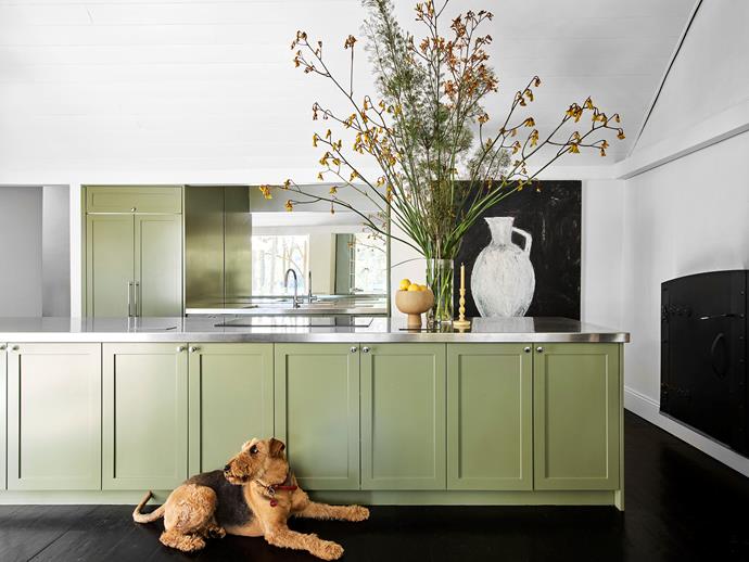 Craig chose the eucalyptus tone in the kitchen to evoke the feeling of being under the forest canopy. The benches are topped in mirror-like stainless steel, which bounces light around the room. His airedale terrier, Charlotte, lies below.