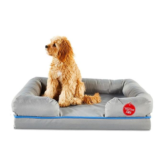 **[Tontine Pets Water Resistant Memory Foam Dog Basket Grey, $219.99, Petbarn](https://www.petbarn.com.au/tontine-pets-water-resis-memory-foam-dog-basket-grey|target="_blank"|rel="nofollow")**

This cloud-like memory foam bed will ensure your pet is well supported for an extra comfy sleep. [**SHOP NOW.**](https://www.petbarn.com.au/tontine-pets-water-resis-memory-foam-dog-basket-grey|target="_blank"|rel="nofollow") 