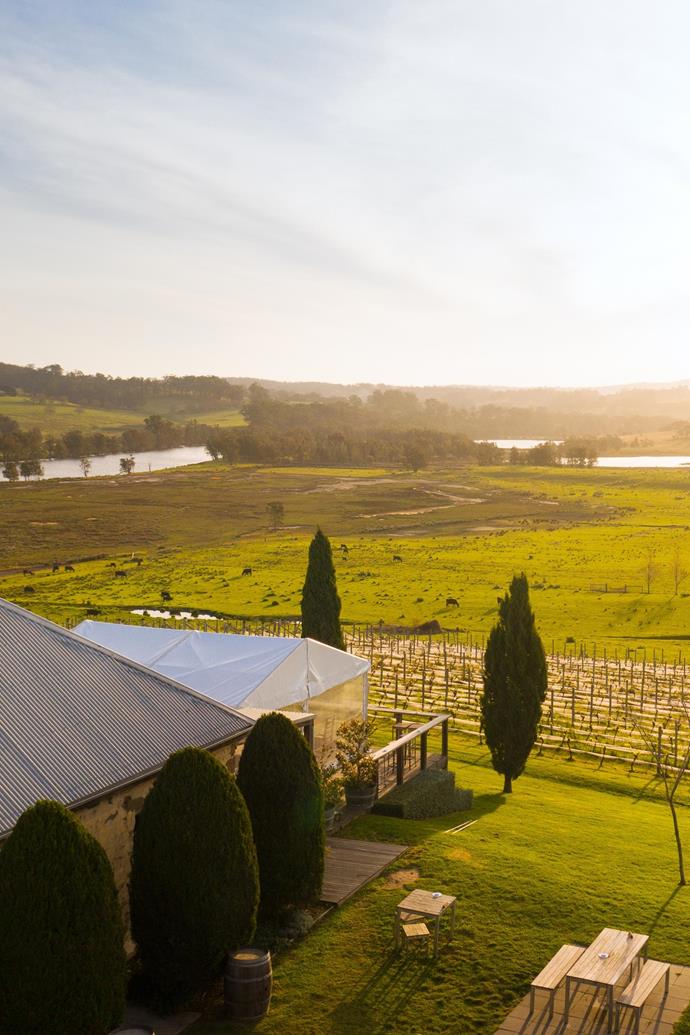After four years of cultivating a spectacular vineyard, [Cupitt's Estate Winery](https://www.cupittsestate.com.au/|target="_blank"|rel="nofollow") in Ulladulla opened its doors in 2007. Holding true to the rhetoric of boutique wineries, Cupitt's main focus sits with creating wines that are structured, complex, and a true reflection of each varietal character and the regions from which they come. Despite being boutique, after 12 years of operation, Cuppit's Estate now encompasses a winery, microbrewery, award winning restaurant, fromagerie, luxury accommodation and fully sustainable farm.<br><br>

**Ones to try:** NV Blanc de Blanc and 2018 Dusty Dog Shiraz