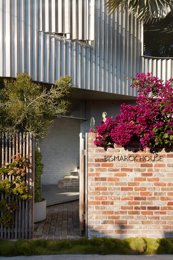 The entryway of the property is marked by a coming together of artificial and natural, where a thriving bougainvillea meets the striking perforated facade.