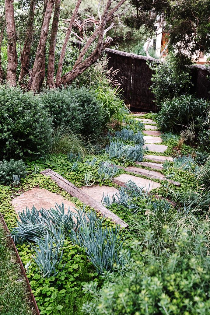 Coastal rosemary, blue chalk sticks and kidney weed flank a path of bluestone flagstones weaving its way down to the back fence. The recycled railway sleepers are from Rock & Redgum.