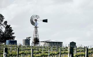 Clonakilla Winery with a windmill and water tank in the distance with grape vines in the foreground