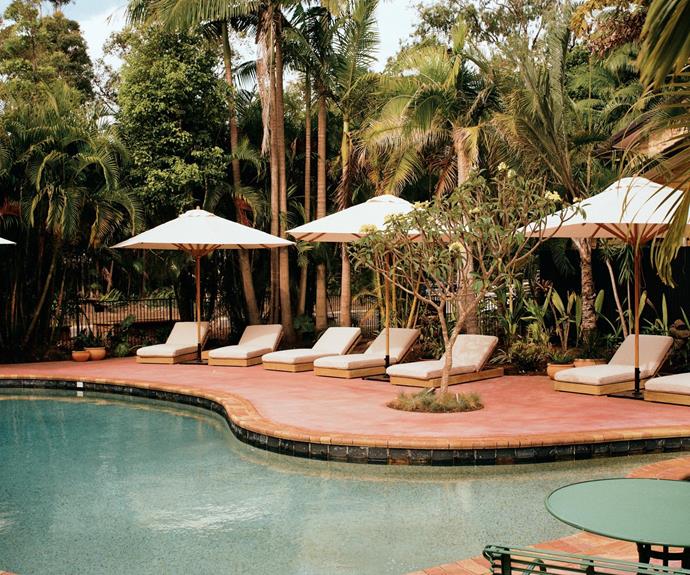 The pool is encased by lush plantngs of palms and ferns.