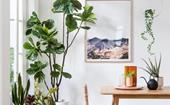 We ordered five faux fiddle leaf fig trees online and these are our top picks