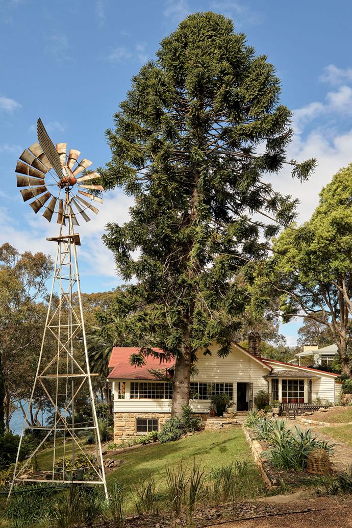 The old southern cross windmill has been lovingly restored so that it can pump water up to the tank to eventually water the gardens.