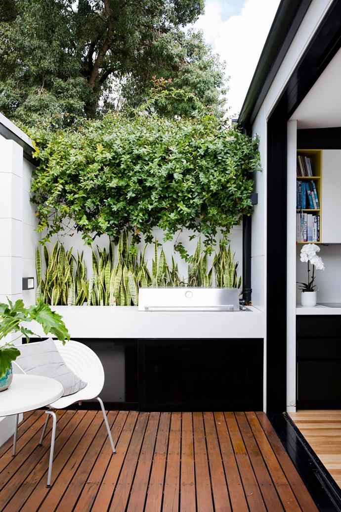 In the clever renovation of [this worker's cottage in Sydney](https://www.homestolove.com.au/clever-renovation-sydney-workers-cottage-20341|target="_blank"), the barbecue area has been designed as essentially an extension of the kitchen, except with plenty of lush foliage. 