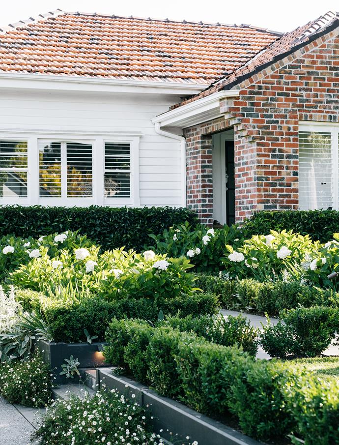 [This country-style garden](https://www.homestolove.com.au/country-style-garden-melbourne-21987|target="_blank") by landscaper Inge Jabara hugs the house in every direction, giving its owner the feeling of being surrounded by nature. Bluestone pathways are flanked by lovely layers of Portuguese laurel, English box, lamb's ears, German iris and seaside daisies.