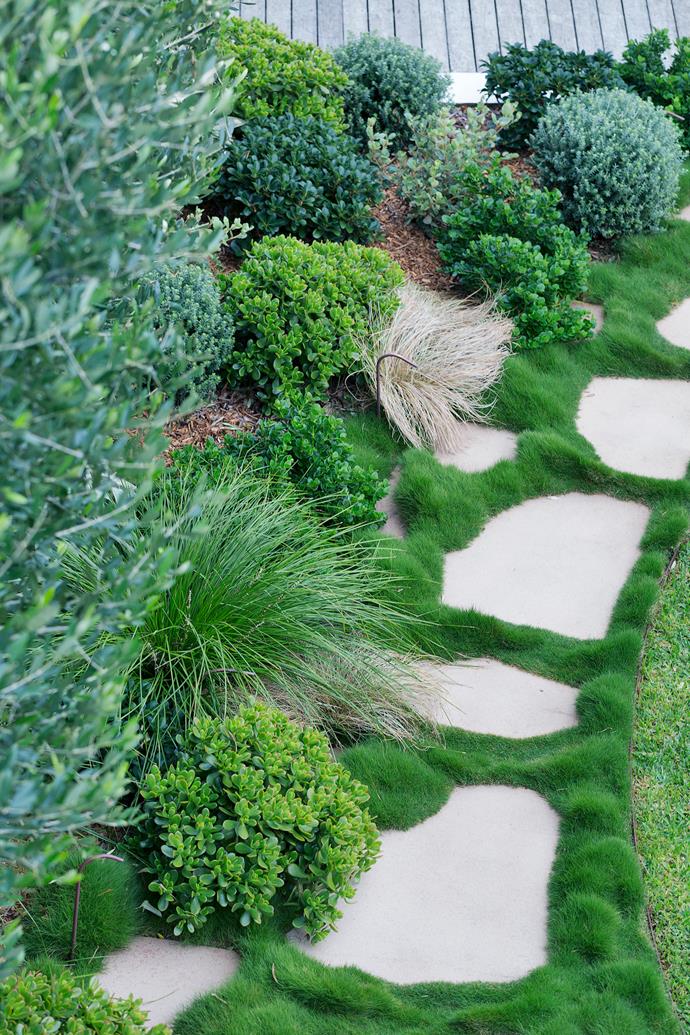 These stepping stones were individually hand-cut and the spacing between them was designed to suit the homeowner of [this coastal gardens'](https://www.homestolove.com.au/coastal-front-garden-design-19502|target="_blank") personal stride.