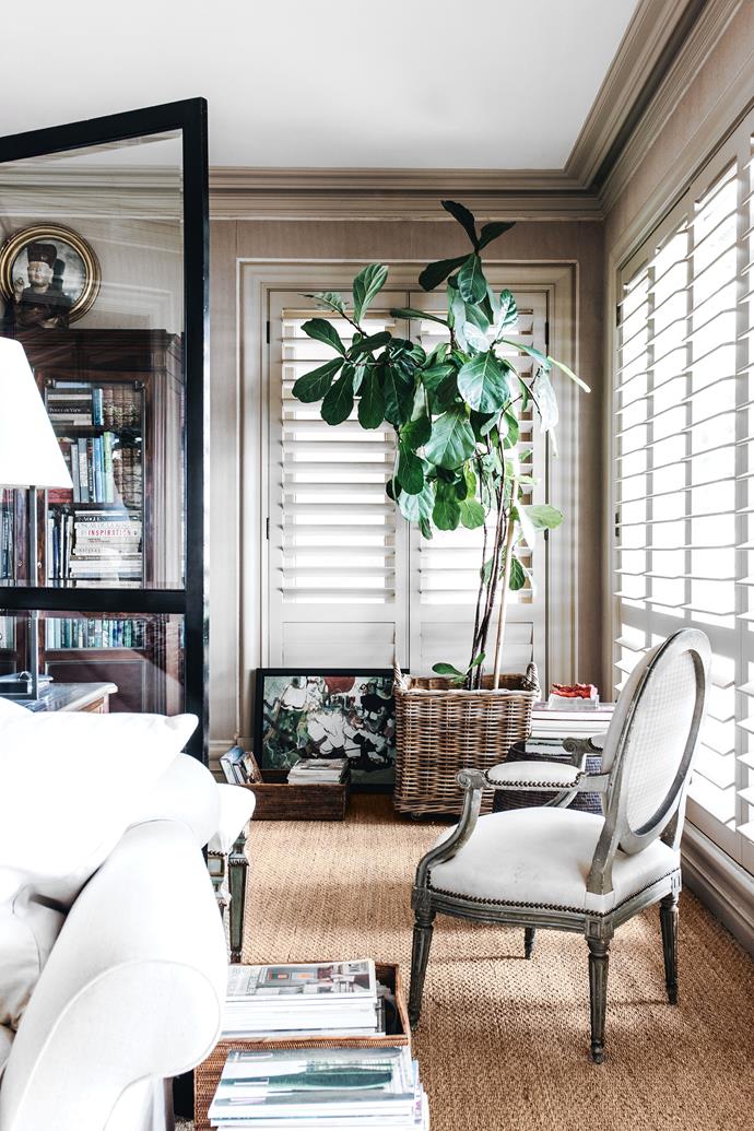 Plantation shutters are an excellent privacy option as they are easy to open and shut.
*Photographer: Abbie Melle | Story: Belle*