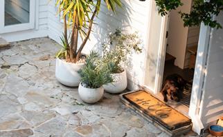 Front door of a coastal home featuring crazy paving