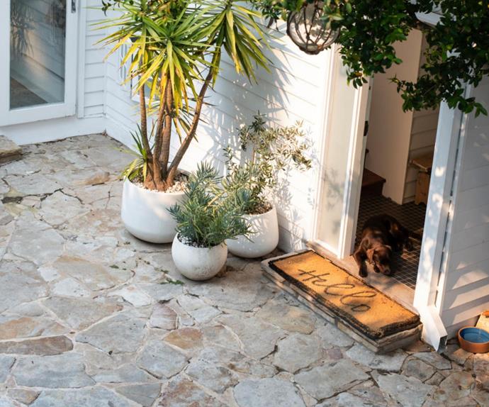 Front door of a coastal home featuring crazy paving