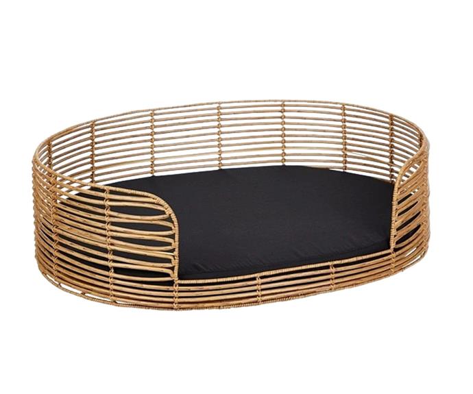 **[Cooper & Co Charlie oval pet bed, $199.95, Myer](https://www.myer.com.au/p/coper-co-charlie-oval-rattan-pet-bed|target="_blank"|rel="nofollow")** <br><br>As one of the biggest trends to dominate our homes over the past two years, its no surprise that the rattan and cane trend has extended into designer homewares for our pets. Cooper & Co's bed features a timeless and stylish design that you'll be proud to keep front and centre in the home, and the removable cushion and cover makes for easy cleaning. **[SHOP NOW.](https://www.myer.com.au/p/coper-co-charlie-oval-rattan-pet-bed|target="_blank"|rel="nofollow")**
