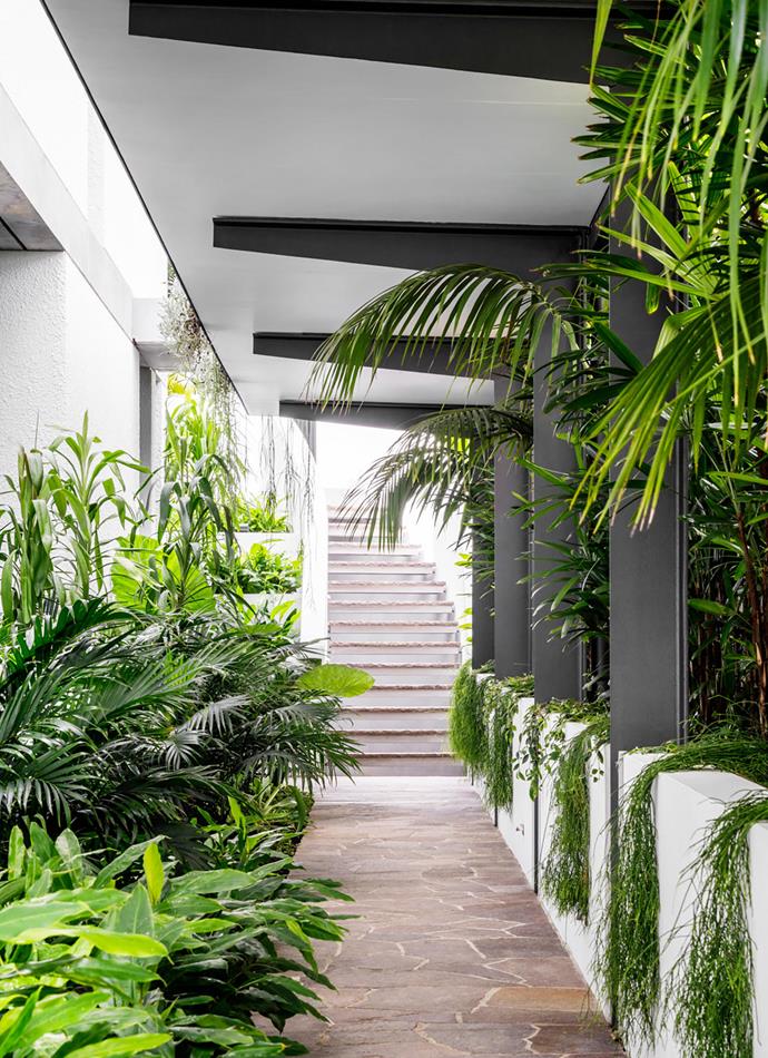 The journey to [this ultra-modern house with harbour views](https://www.homestolove.com.au/ultra-modern-home-with-harbour-views-and-lush-tropical-gardens-20922|target="_blank") is through a lush tropical garden, dappled with shadows. 