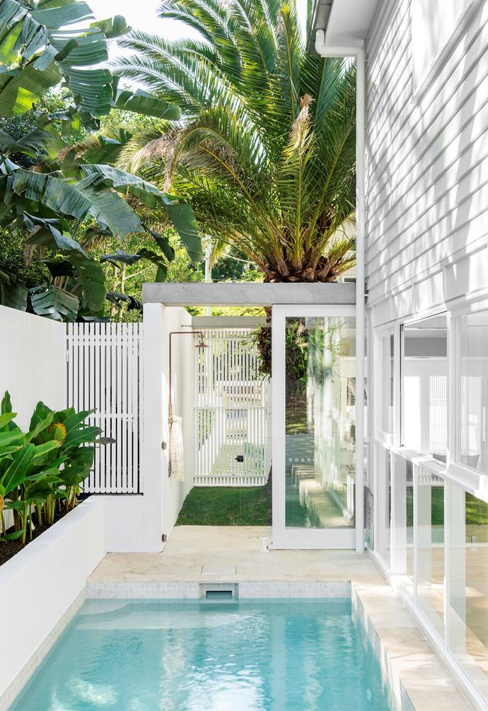 This tropical retreat belongs to a [Brisbane family home](https://www.homestolove.com.au/bulimba-park-house-queensland-23377|target="_blank") who's design is something of a contemporary take on classic Queenlsanders. Here, a large internal courtyard has been built around a Canary Islan ddate palm, taking up the space between the front and rear of the home. At the side of the pool, Heliconias line the raised garden bed.