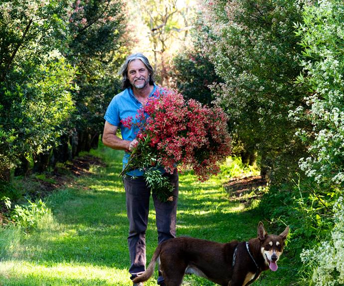 Australian wildflower farm grower Craig Scott