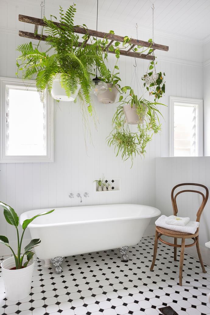 Grouped planters make a statement hanging from a suspended ladder in [this transformed Queenslander](https://www.homestolove.com.au/contemporary-restoration-of-federation-queenslander-home-5495|target="_blank"). 