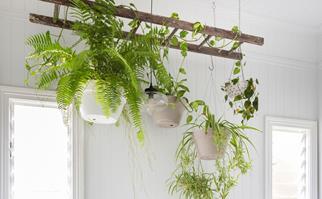 How to get them most out of your hanging planter with Helen Young